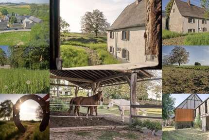 Haus zum Kaufen in Münstermaifeld 239.000 € 140 m² 5 zimmer