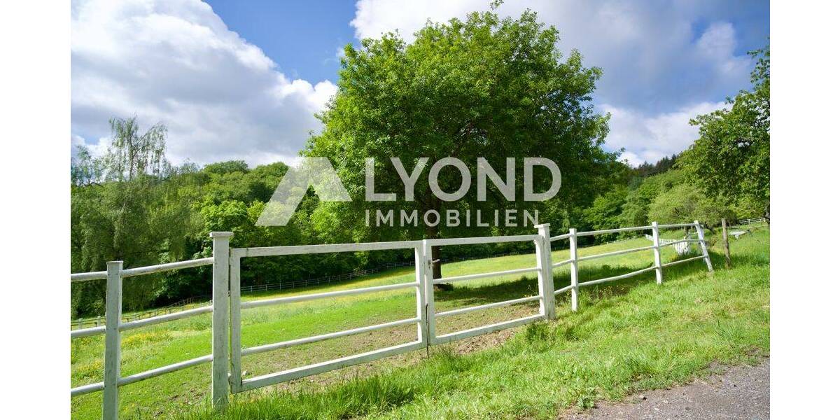 Mehrfamilienhaus, Wohnhaus Boppard Holzfeld - 1 Zimmer, 545 m&sup2;, 1.690.000&euro; | Angebot:26908302