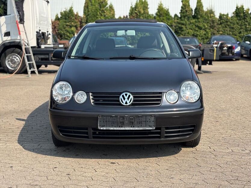 Polo