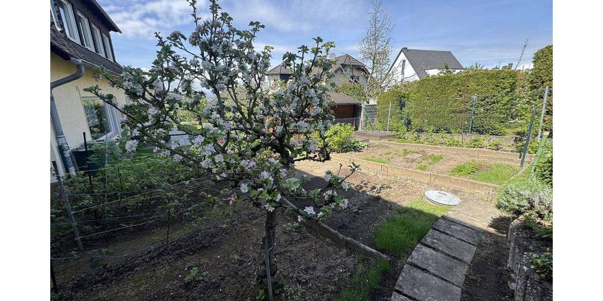 Mehrfamilienhaus, Wohnhaus Vallendar - 6 Zimmer, 349.000&euro; | Angebot:26904237