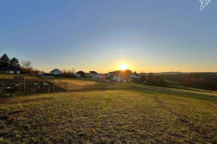 Grundstück zu verkaufen in Neustadt (Wied) 129.000 € 1261 m²
