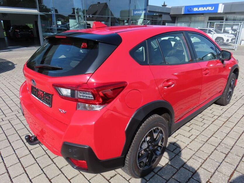 XV