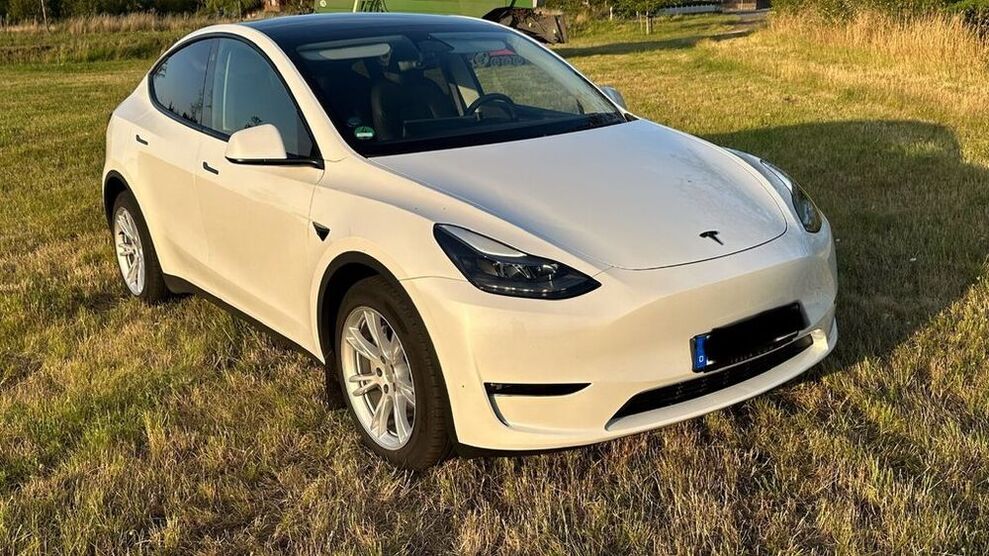Model Y