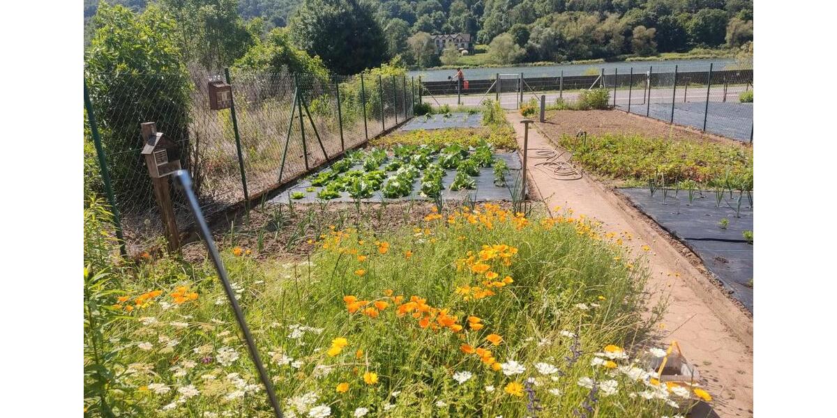 Mehrfamilienhaus, Wohnhaus Dieblich - 10 Zimmer, 230 m&sup2;, 275.000&euro; | Angebot:24679520