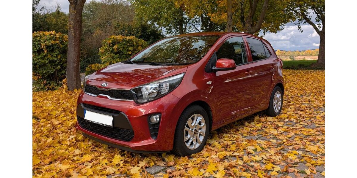 Kia Picanto 37.000 km 9.990 € Kettig 56220