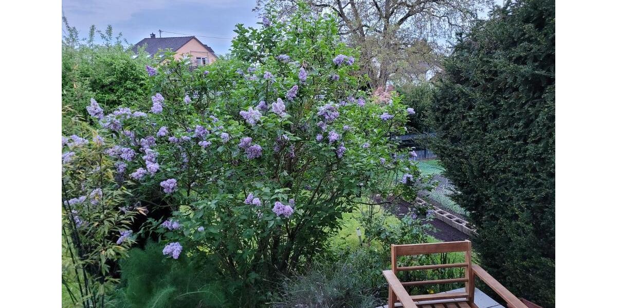Heimbach-Weis, Eigentumswohnung in Südlage mit Garten 3 zimmer