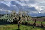 Bauernhaus, Landhaus Emmelshausen - 895.000&euro; | Angebot:26627362