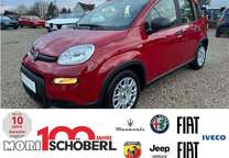 Gebrauchtwagen Fiat Panda