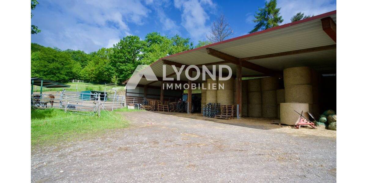 Mehrfamilienhaus, Wohnhaus Boppard Holzfeld - 1 Zimmer, 545 m&sup2;, 1.690.000&euro; | Angebot:26908302