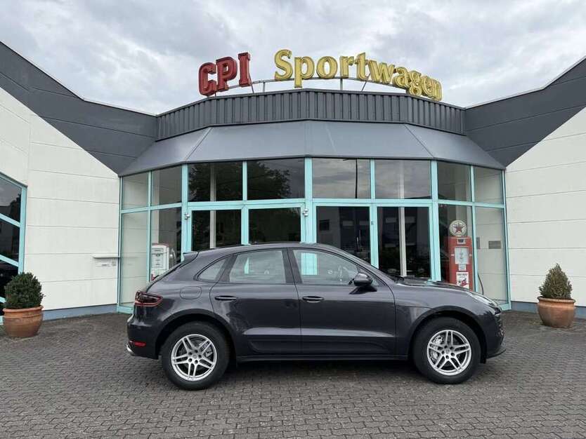 Macan