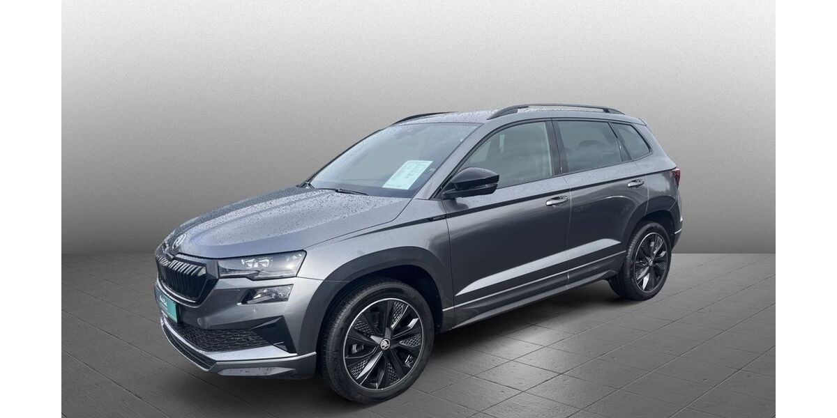 Skoda Karoq 8.124 km 32.980 &euro; Diez 65582