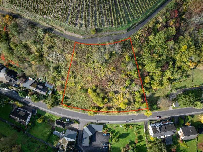 Grundstück zu verkaufen in Sankt Goar 85.000 € 3197 m²